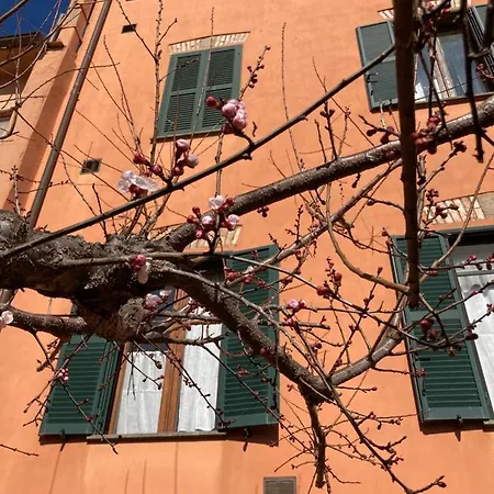 Tuscany Location Marta