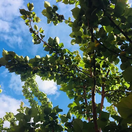 Tuscany Location * 马尔塔